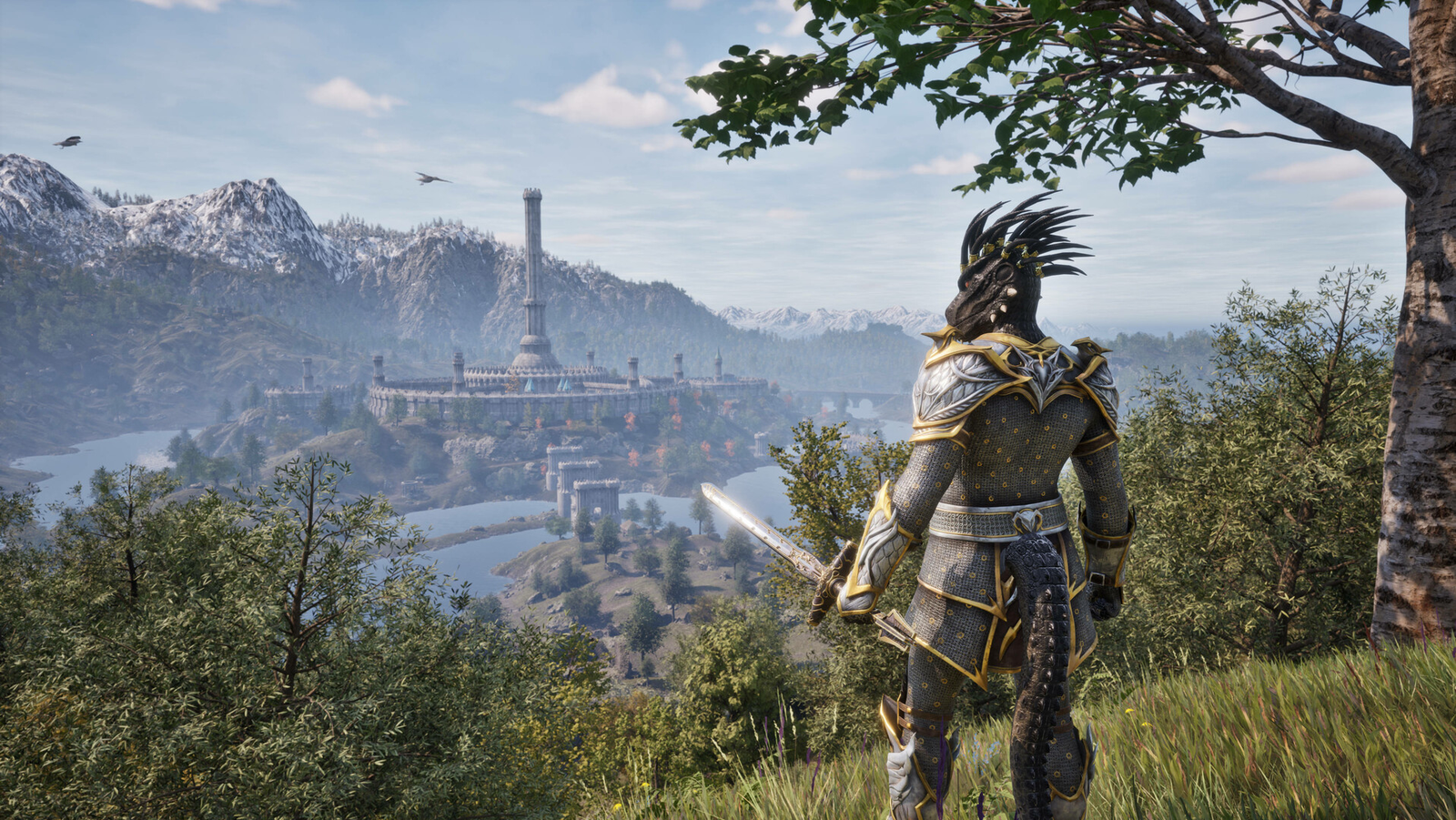 Personagem de Oblivion Remastered observa uma cidade cercada por montanhas, rios e vegetação